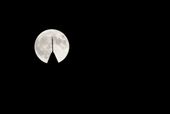 Supermoon_Lea(2).jpg
