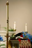 BLUE_20120508_342