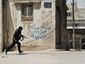 APTOPIX Mideast Syria_Lea_2_mugshot_four_by_three.jpg