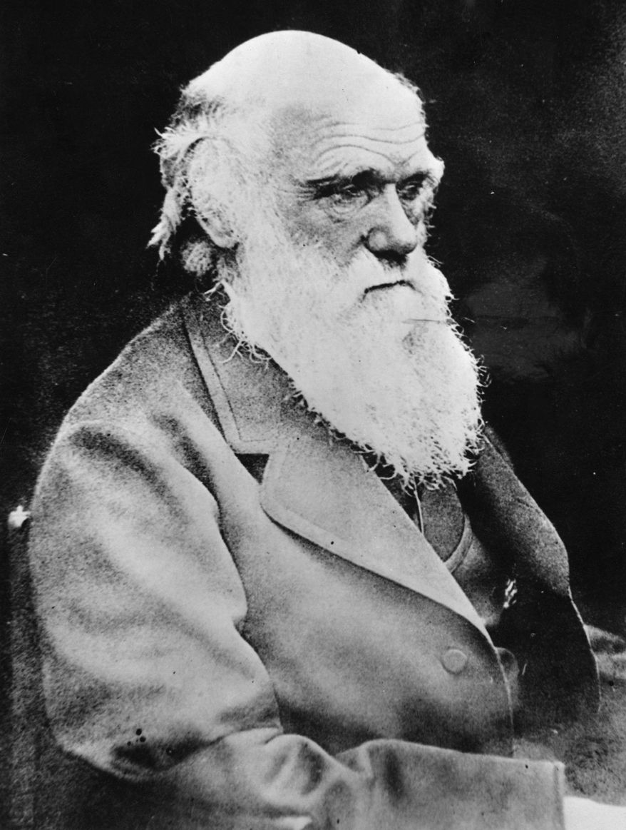 Researchers say the Darwin Awards, named for evolutionary icon Charles Darwin, provide evidence that males are far more likely than females to engage in "idiotic" behaviors.