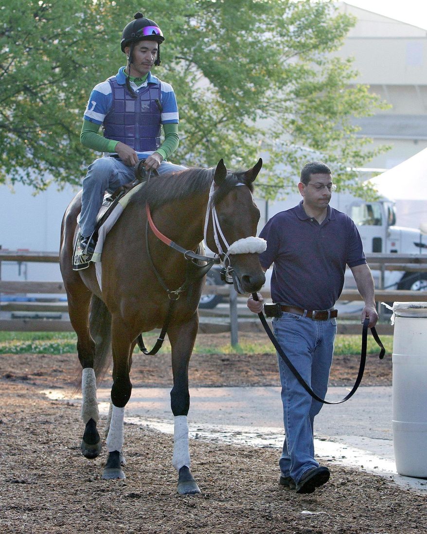 Optimizer, under exercise rider Joel Cano, isn't generating much buzz, but trainer D. Wayne Lukas isn't worried. "I've had the highs and the lows in this particular race. I'm very comfortable with what I've got, what I'm doing," he said. (Associated Press)