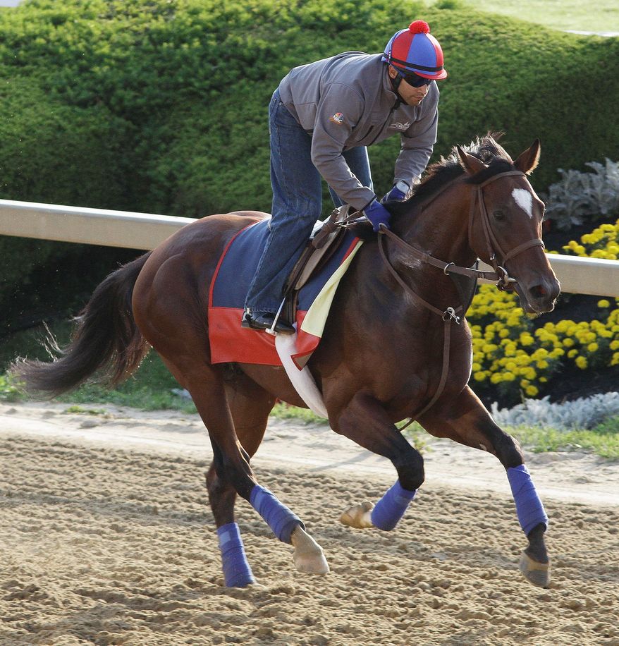 Went the Day Well is ridden by exercise rider Zeke Castro. (Associated Press)