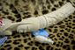 customs_20120208_649