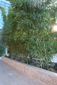 MONDAY_20101025_741