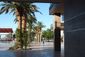 MONDAY_20101025_744