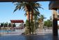 MONDAY_20101025_745
