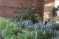 MONDAY_20101025_746