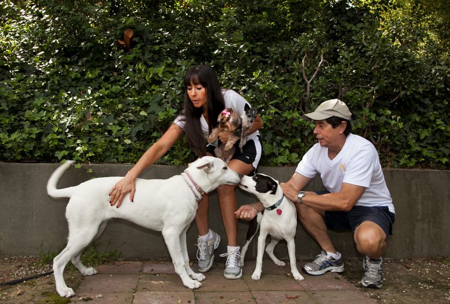 Tracie Sorrentini holds her small dogs Punky (left) and Puccini as her father Irving Sorrentini helps with dogs she's caring for while their owners are away, Yuki (left) and Lexi in Los Angeles. DogVacay brings together dog lovers with casual and professional dog sitters to provide an affordable experience for pets. (Associated Press)
