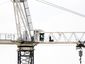 Texas Crane Standoff_Lea_mugshot_four_by_three.jpg