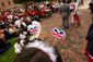 JUBILEE_CELEBRATION0605sm25
