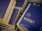 budget_20120213_0298_02131124_mugshot_four_by_three.jpg