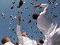 navy_20120529_1314_primary_image.jpg