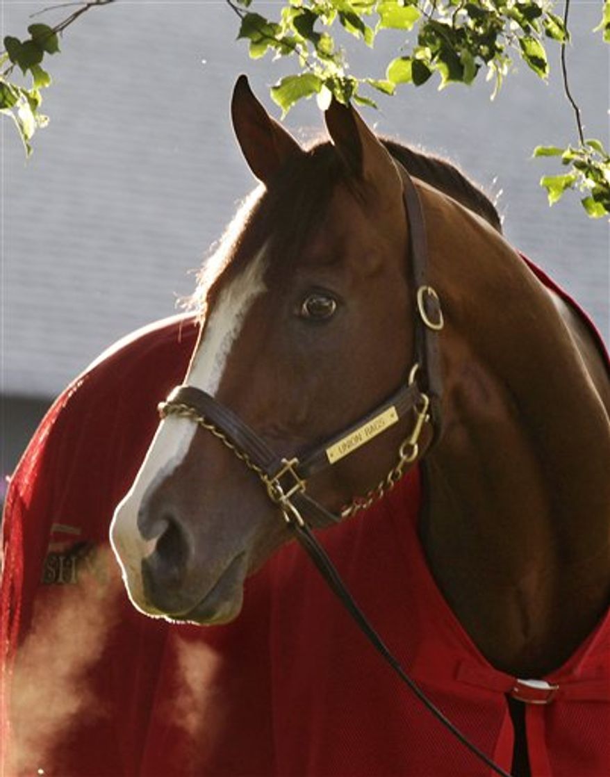 Union Rags is 6-1 on the morning line for Saturday's Belmont Stakes. (Associated Press)