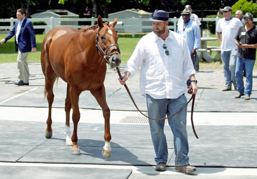 Trainer Doug O'Neill said the decision to scratch I'll Have Another from the Belmont Stakes was unanimous in the wake of the colt's tendinitis in his left front leg. (Associated Press)