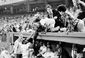 RFK_01.JPG