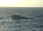 Australia Boat Capsiz_Lea.jpg