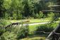 GOLF_20120630_010
