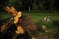 GOLF_20120630_027