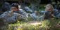 sapper_0915