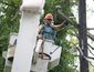 pepco.JPG