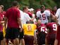 redskins_1826_primary_image.jpg