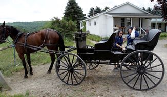 In this July 13, 2011 photo, Amish women shop at an Amish-owned country store in Centerville, N.Y. Centerville, a town south of Buffalo, has an established Amish community. Longstanding Amish population centers in Pennsylvania and Ohio have lost families while Amish numbers in New York have boomed in the past two years, according to a new study by Elizabethtown College researchers. (AP Photo/David Duprey)