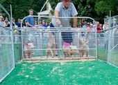 ACFAIR_02