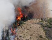 Washington Wildfire_Live.jpg