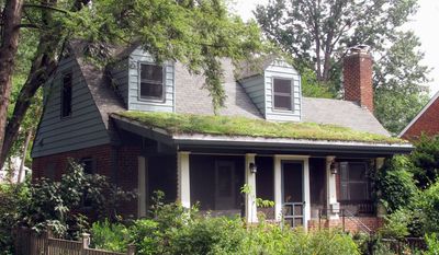 Photo by Kim A. O’Connell

The porch roof of Nancy Striniste’s Arlington home is covered in vegetation. 