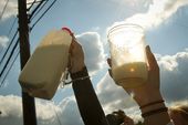 MILK_0242_11011517
