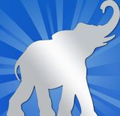 BELTWAY_ELEFANTE01.jpg