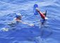 Cuba Swimming to Flor_Lea.jpg