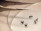 dallas-west-nile_star_mugshot_four_by_three.jpg