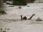 haiti-tropical-weathe_lea_mugshot_four_by_three.jpg