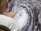 storm_5_mugshot_four_by_three.jpg