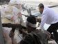 aptopix-mideast-syria_lea_9_mugshot_four_by_three.jpg