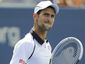 us-open-tennis_hasc-29_mugshot_four_by_three.jpg