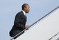 Obama 2012_Lea-1.jpg