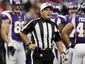 49ers-vikings-footbal_hasc-1_mugshot_four_by_three.jpg
