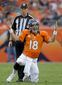 Texans Broncos Footba_Hasc.jpg
