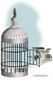 B3-small-gov-AH.jpg