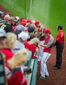 FANS_WEB_3377_20121009