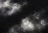 MEX METH_WEB_0007_20121011