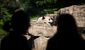 PANDA_WEB_0005_20121011