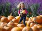 PUMPKIN_10141201