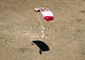 JUMP_3618_20121014