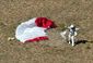JUMP_3619_20121014