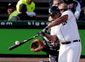 TIGERS_3872_20121018