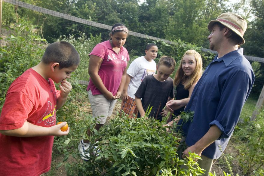 **FILE** Park director Zach Shields (right) and his crew for the day look for produce such as tomatoes to harvest from the organic garden at Partnership Park in Decatur, Ill., on Aug. 11, 2010. (Associated Press/Herald & Review)