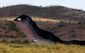 US BORDER_WEB_20121024_0001